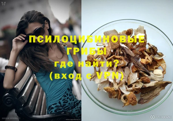ешки Ладушкин