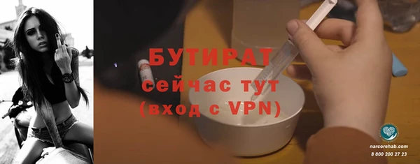 шишки Щигры