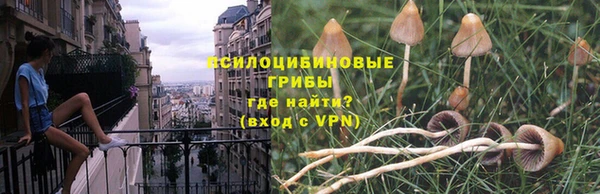 ешки Ладушкин
