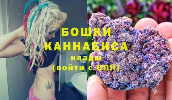 шишки Щигры