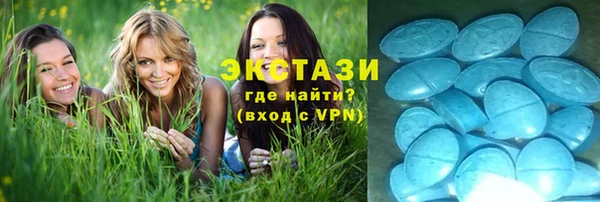 шишки Щигры